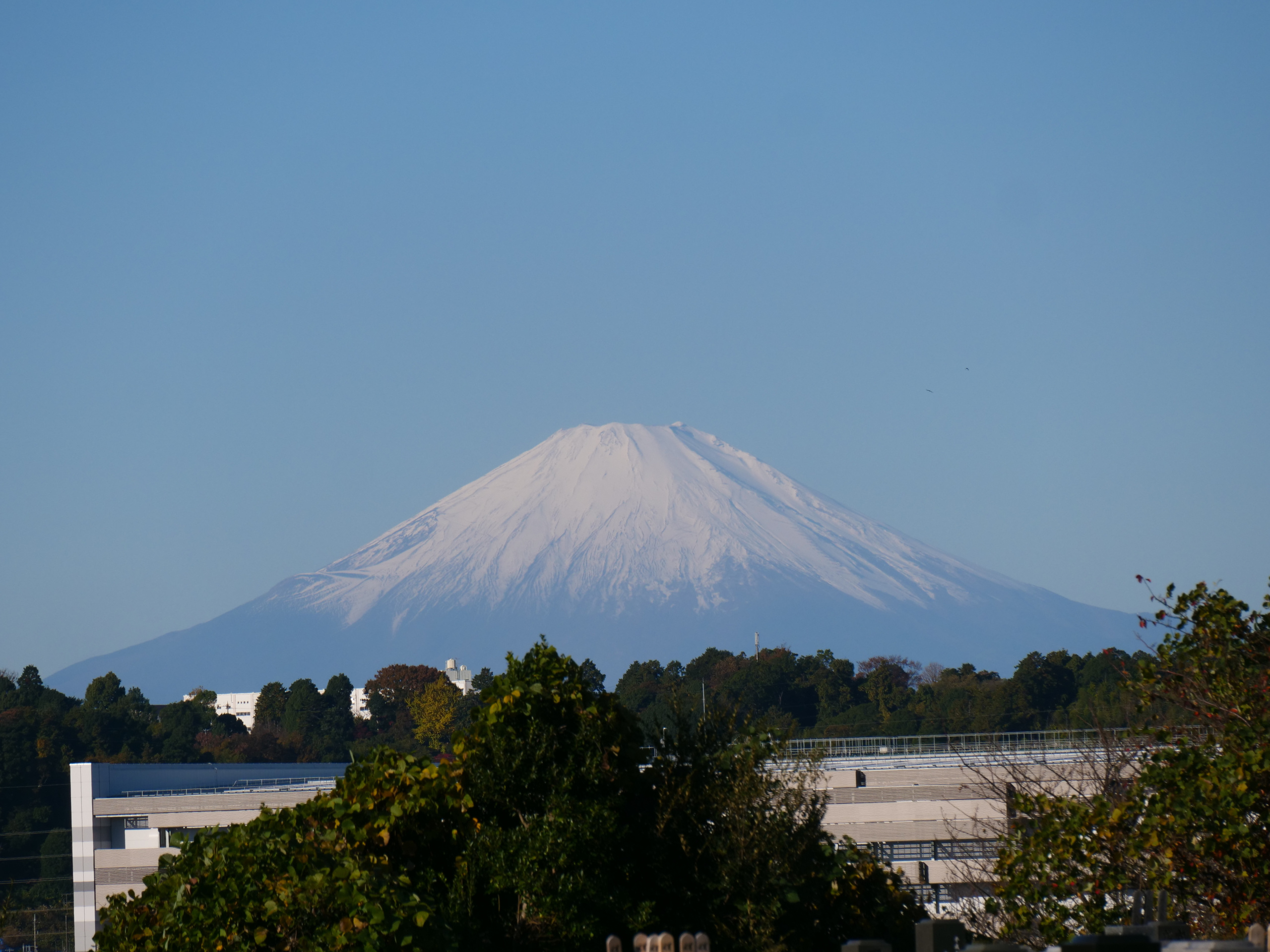 p1044177.jpg