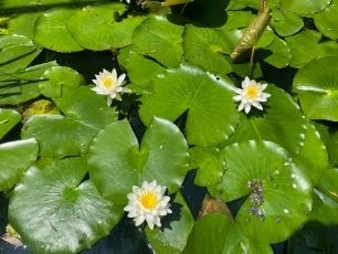 img_slide01.jpg