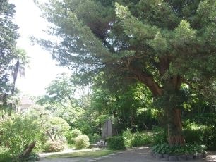 img_slide05.jpg