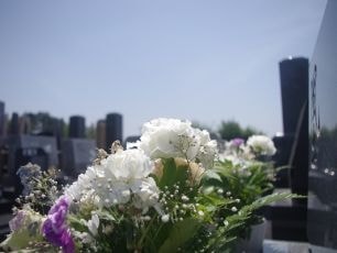 imgp1591.jpg