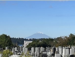 fuji_1.jpg